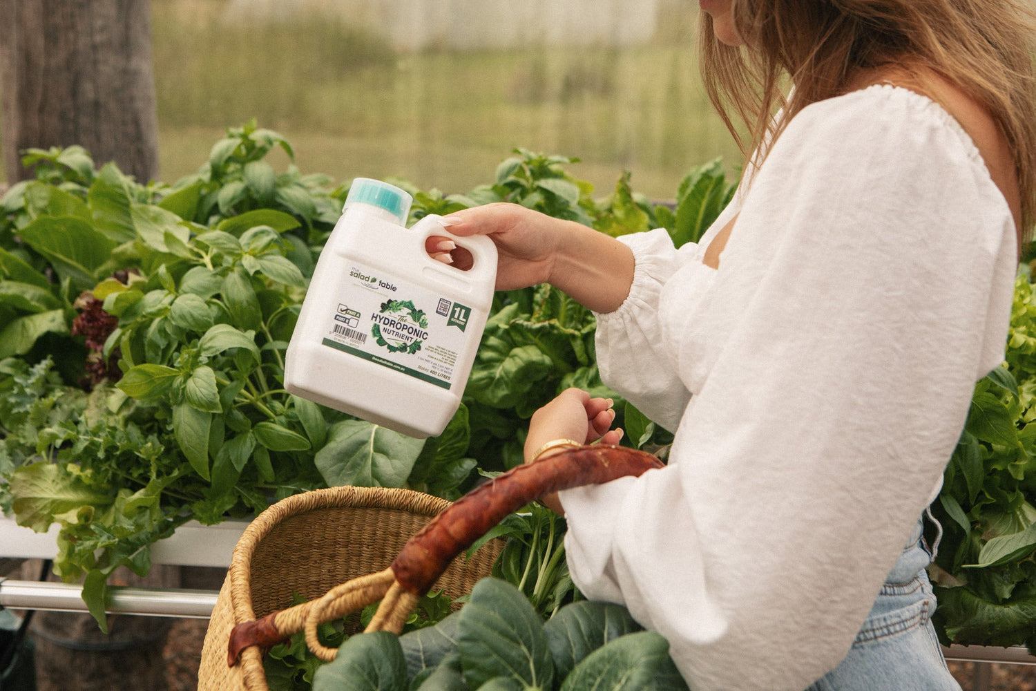 Everything You Need to Know About The Salad Table’s Hydroponic Nutrient