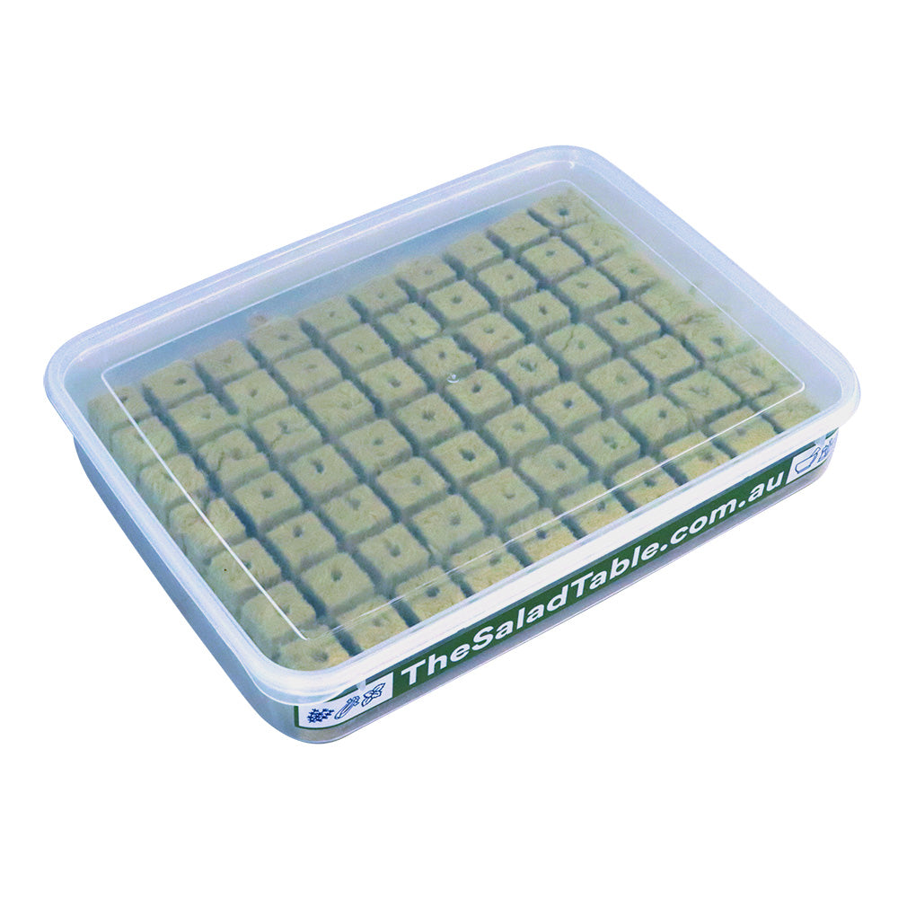 70 Premium Rockwool Grow Cubes in Propagation Tray