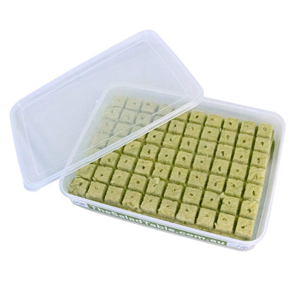 70 Premium Rockwool Grow Cubes in Propagation Tray