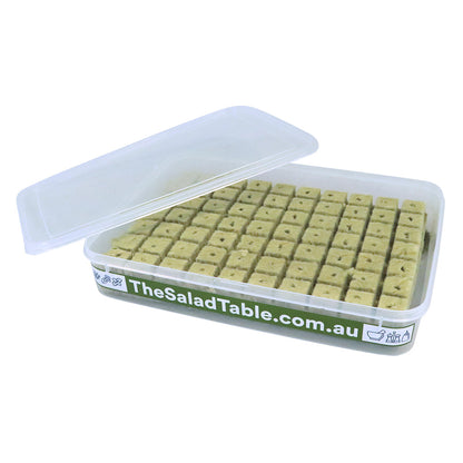 70 Premium Rockwool Grow Cubes in Propagation Tray